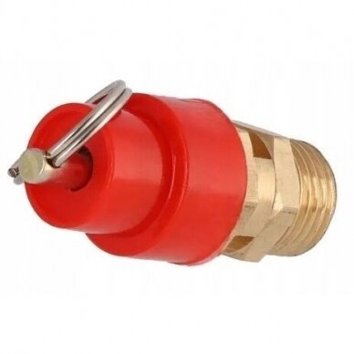 Safety valve 0-8bar. Spare part 1