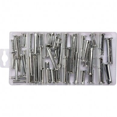 Security bolts with head 60 pcs