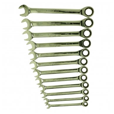 Combination gear wrenches set 12pcs. (8-19) 2